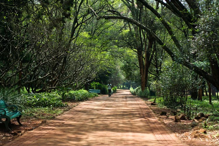 Nairobi view for Nairobi Arboretum