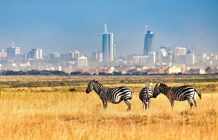 Nairobi view for Nairobi National Park